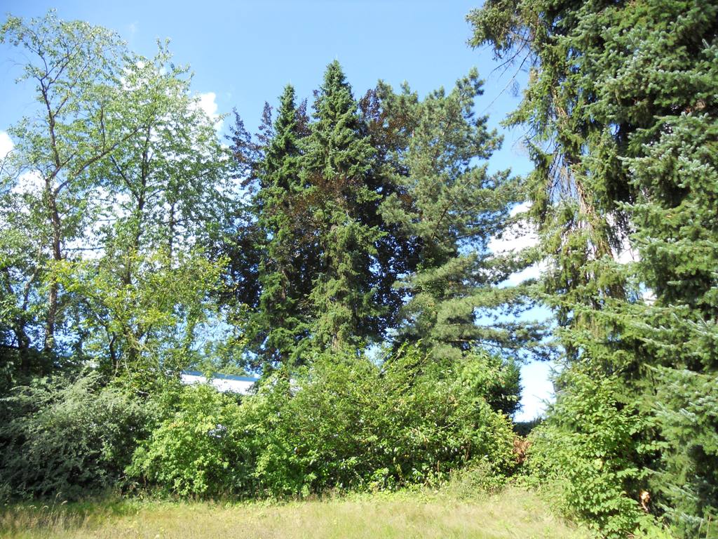Foto leider nicht verfügbar